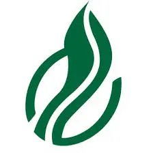 Daye Bensa Business Plc