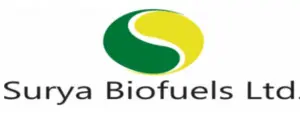 Quantity Surveyor & Land Surveyor