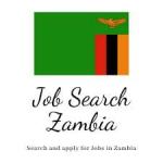 Sales Assistant