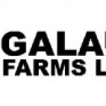 TRACTOR DRIVERS – CROP OPERATIONS