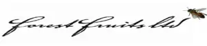 Accountant