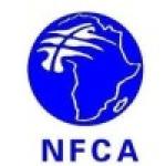 NFC Africa Mining PLC (Chambishi Mine)