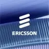 Customer Project Manager