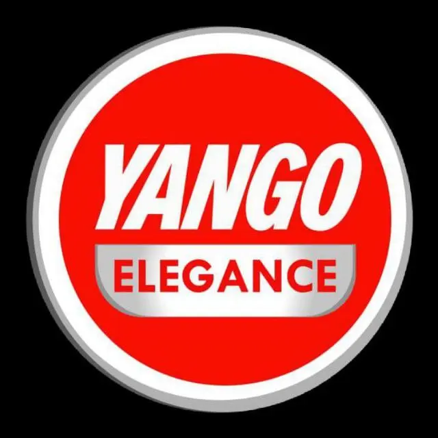 Senior Accountant