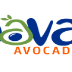 Manager – Civil Engineering